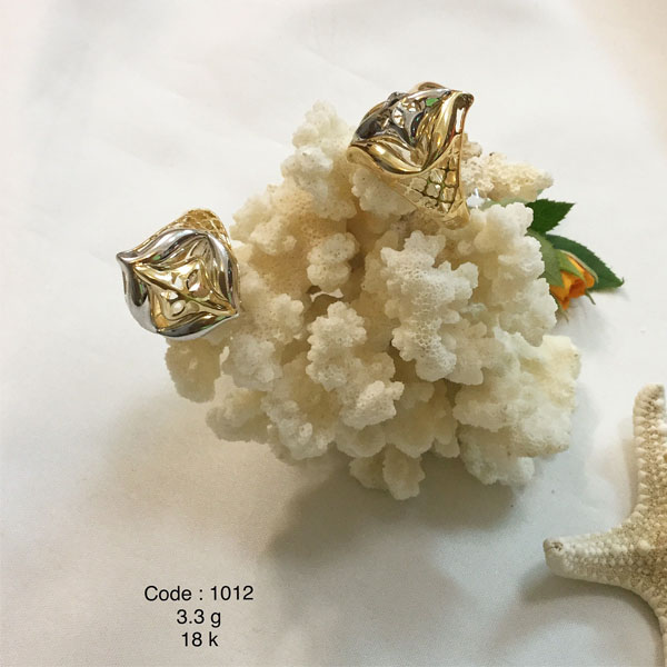 Tolue Yase Sepahan Co. Ring
