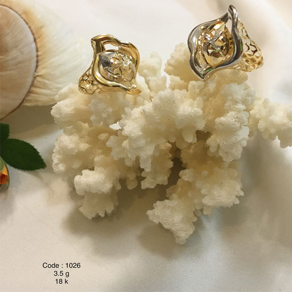 Tolue Yase Sepahan Co. Ring